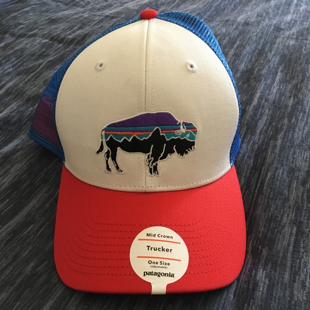 Patagonia Trucker Hat,  Never Worn